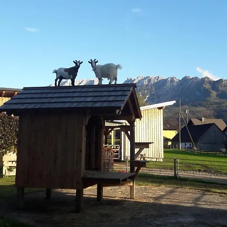 Schusterbauernhof Privatunterkunft Bad Mitterndorf