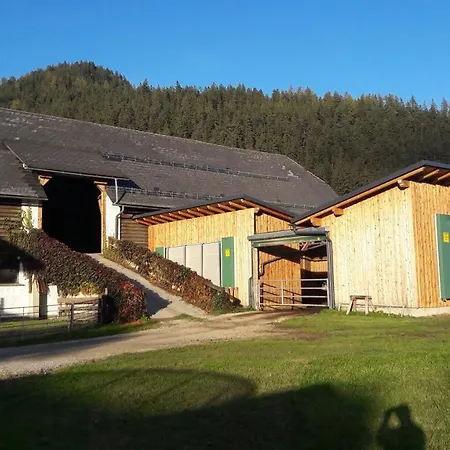 Schusterbauernhof Bad Mitterndorf