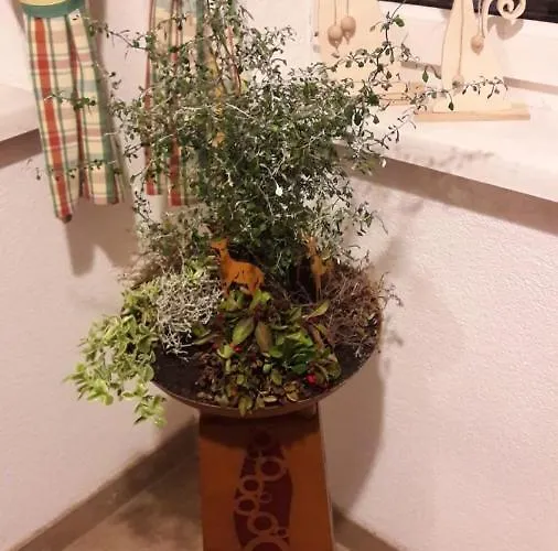 Schusterbauernhof 홈스테이