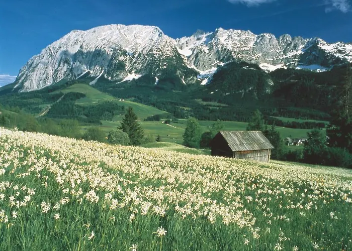 홈스테이 Schusterbauernhof *