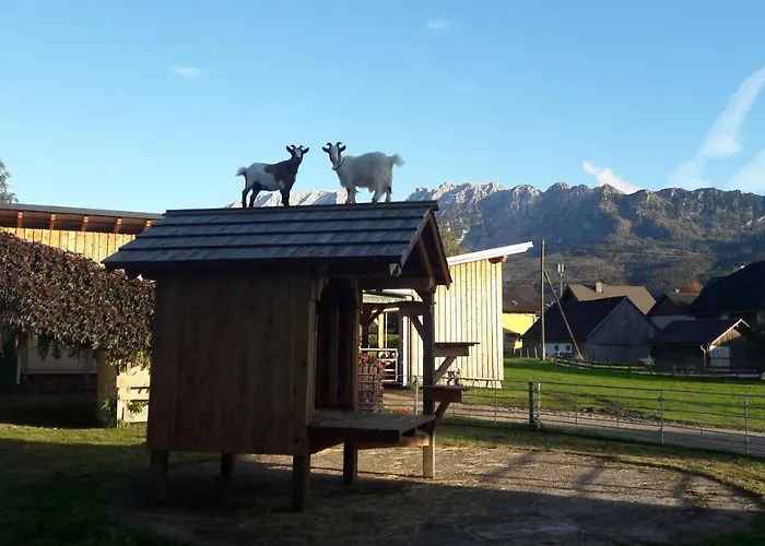 Schusterbauernhof Séjour chez l'habitant Bad Mitterndorf