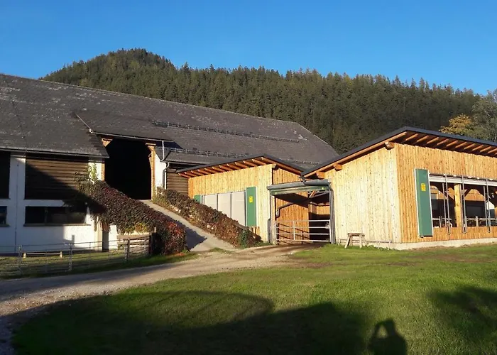 Schusterbauernhof 바트 미테른도르프